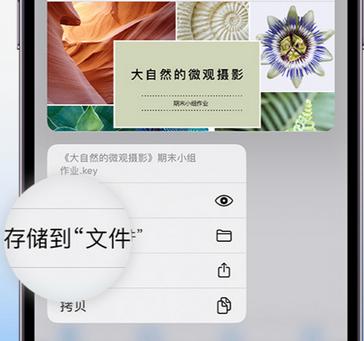 应城apple维修中心分享iPhone文件应用中存储和找到下载文件