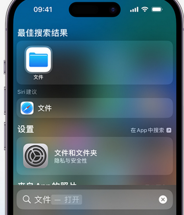 应城apple维修中心分享iPhone文件应用中存储和找到下载文件