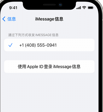 应城apple维修iPhone上无法正常发送iMessage信息 