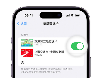 应城apple维修点分享iPhone上更换Apple Pay快捷交通卡手绘卡面 