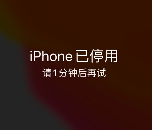 应城苹果手机维修分享:iPhone 显示“不可用”或“已停用”怎么办？还能保留数据吗？ 