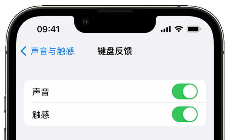 应城苹果手机维修分享iPhone 14触感键盘使用方法 