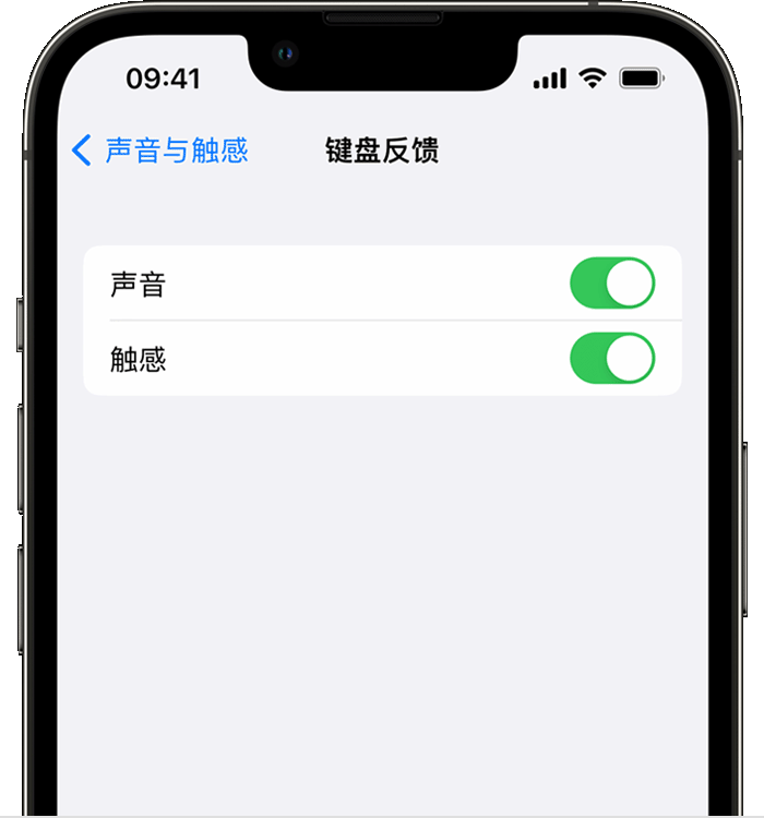 应城苹果14维修店分享如何在 iPhone 14 机型中使用触感键盘 