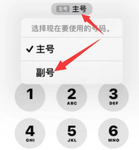 应城苹果14维修店分享iPhone 14 Pro Max使用副卡打电话的方法 