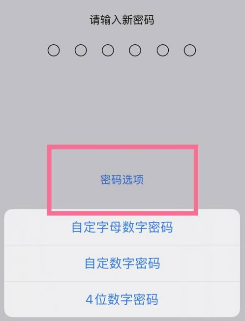 应城苹果14维修分享iPhone 14plus设置密码的方法 