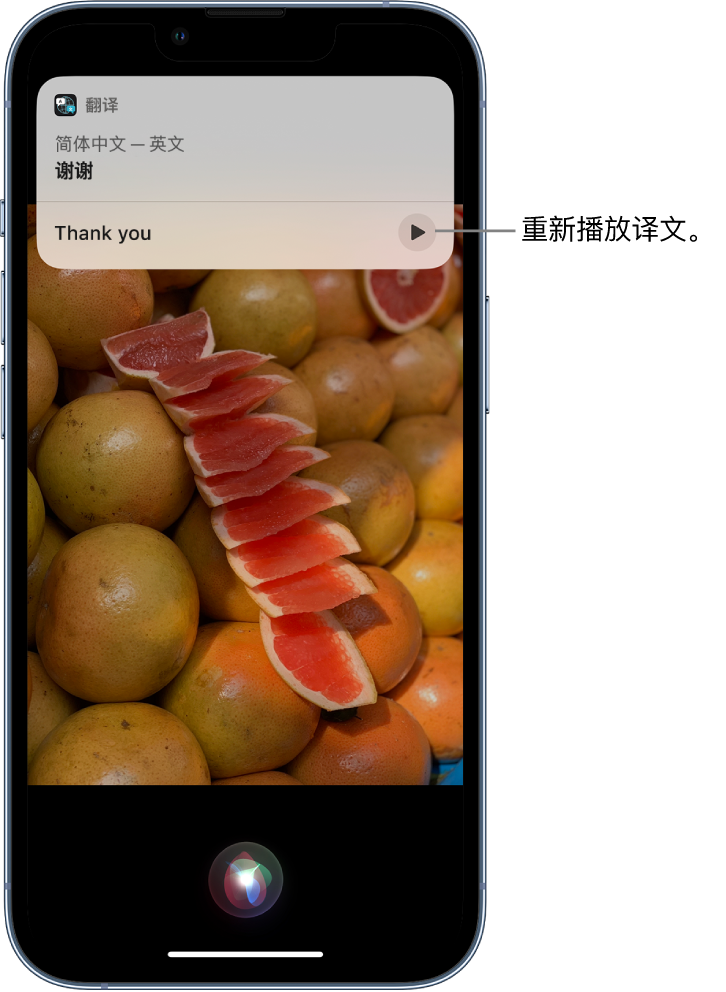 应城苹果14维修分享 iPhone 14 机型中使用 Siri：了解 Siri 能帮你做什么 