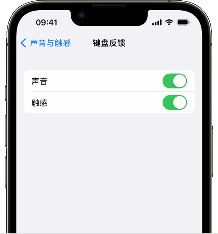 应城苹果14维修分享iPhone 14 系列机型如何开启键盘声音或触感反馈 
