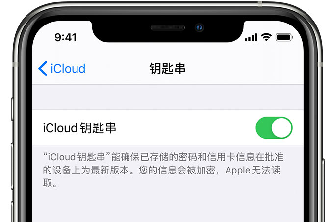 应城苹果手机维修分享在 iPhone 上开启 iCloud 钥匙串之后会储存哪些信息 