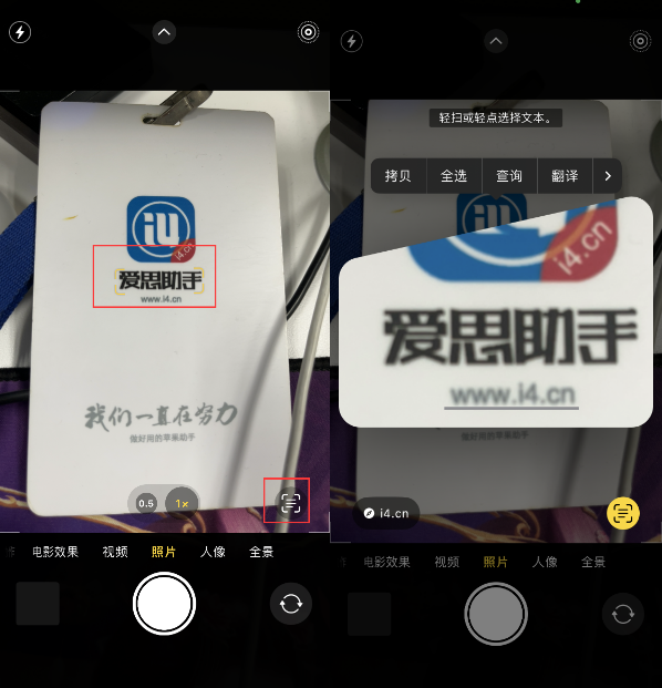 应城苹果手机维修分享升级iOS 16后如何通过相机翻译文本 