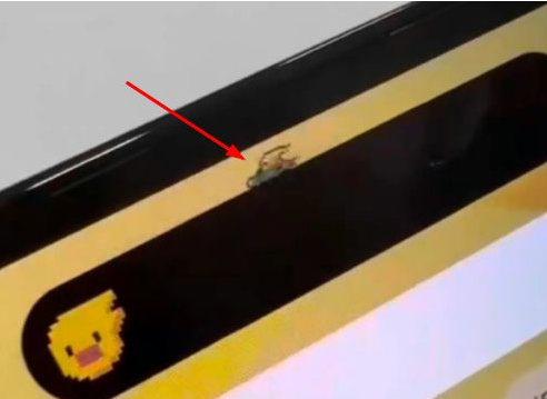 应城苹果14维修分享iPhone 14 Pro Max灵动岛怎么养宠物 