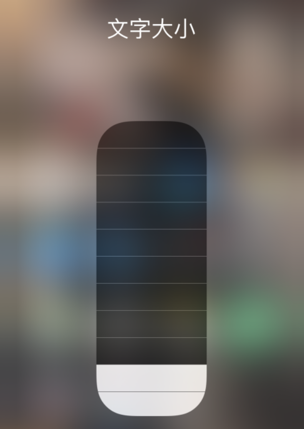 应城苹果手机维修分享小技巧：在 iPhone 控制中心快速调节字体大小 