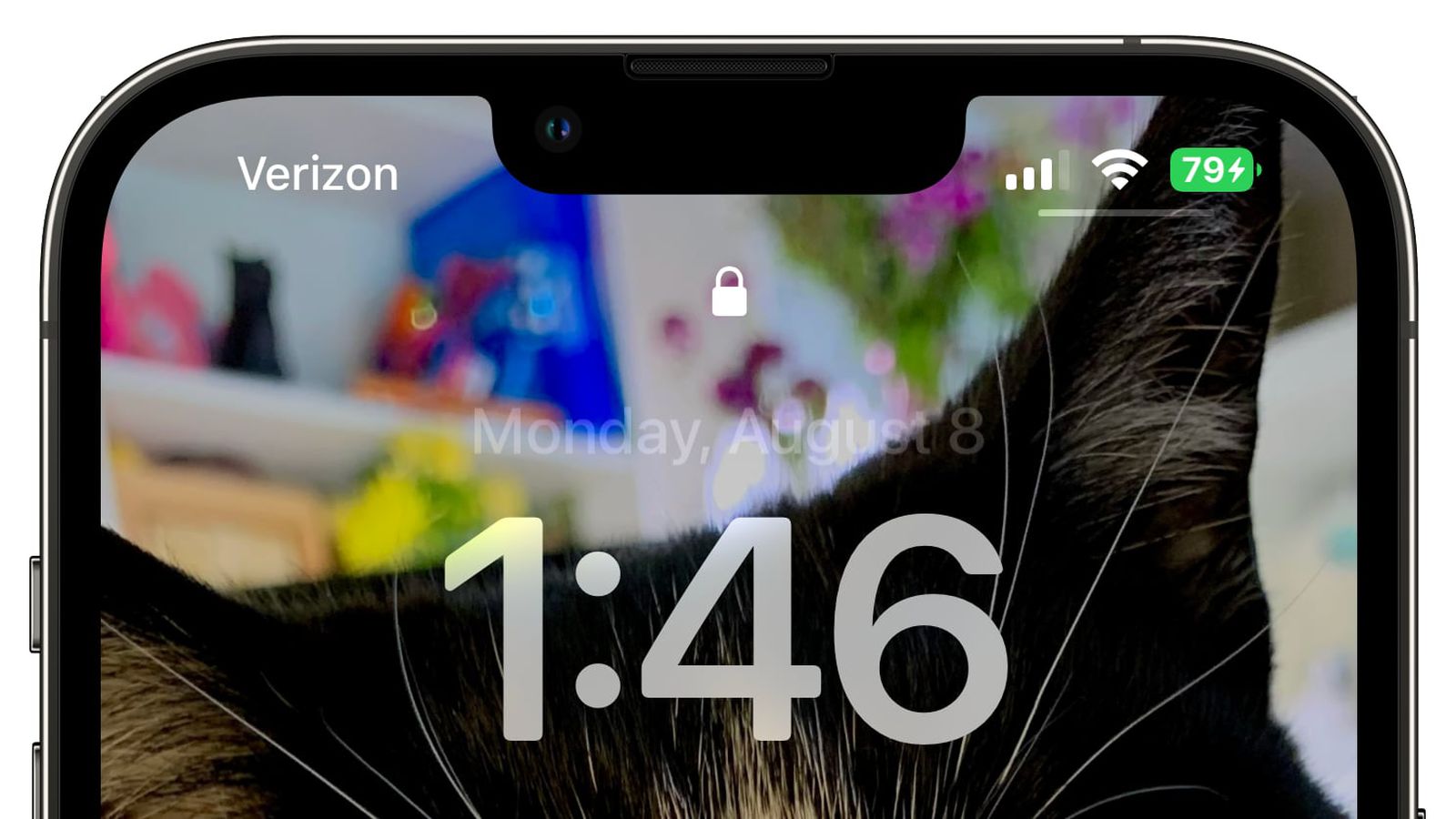 应城苹果手机维修分享iOS 16 beta 5 支持状态栏显示电池百分比，如何开启？支持哪些机型 