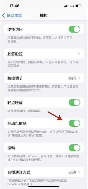 应城苹果手机维修分享iPhone手机如何设置摇一摇删除文字 