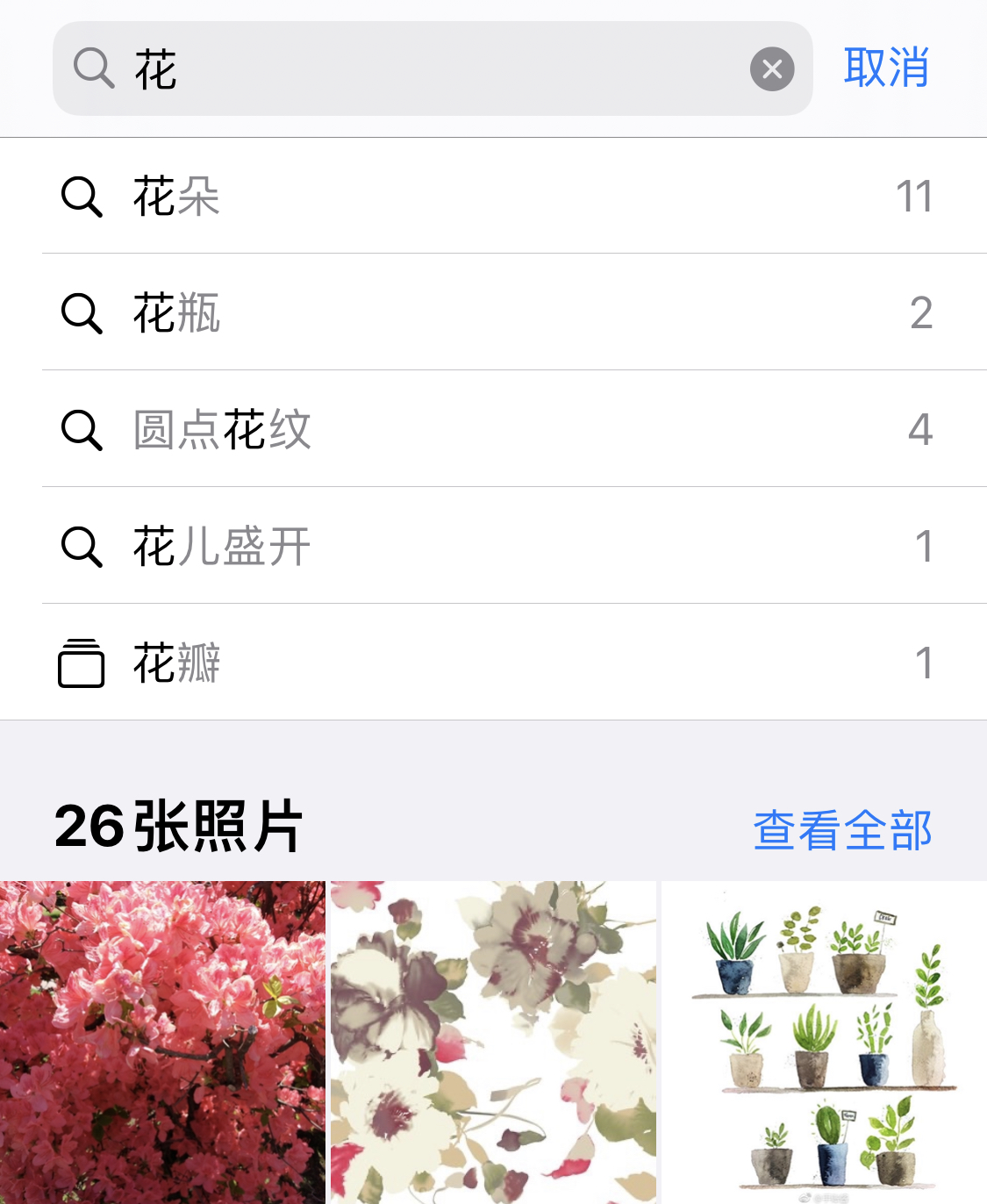 应城苹果手机维修分享iPhone 小技巧 