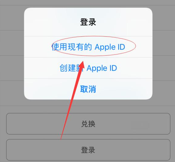 应城苹果手机维修分享两台iPhone设备可以同时登录一个Apple ID吗 