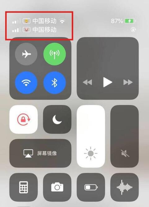 应城苹果手机维修分享为 iPhone 12 双卡设置标签 